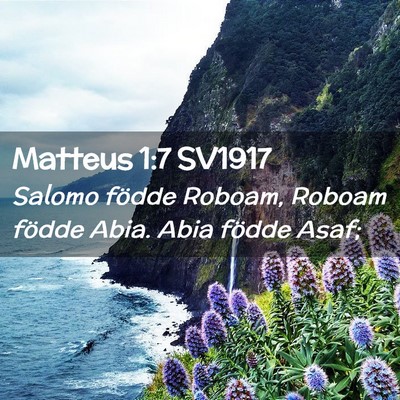 Picture 02 - Matteus 1:7 SV1917 - Salomo födde Roboam, Roboam födde Abia. Abia - Bible Verse Picture