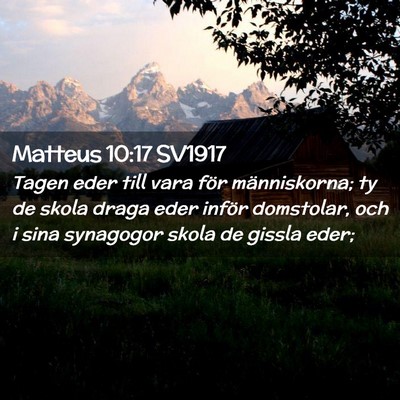 Picture 02 - Matteus 10:17 SV1917 - Tagen eder till vara för människorna; ty de - Bible Verse Picture