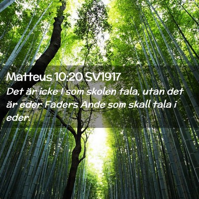 Picture 02 - Matteus 10:20 SV1917 - Det är icke I som skolen tala, utan det är eder - Bible Verse Picture