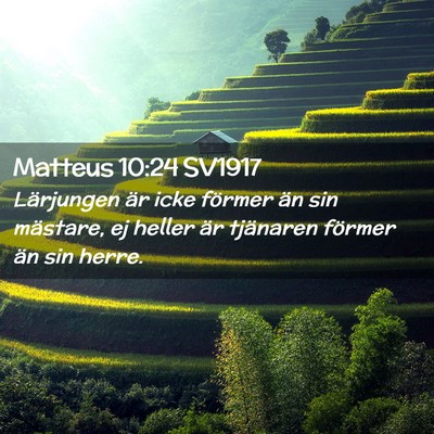 Picture 02 - Matteus 10:24 SV1917 - Lärjungen är icke förmer än sin mästare, ej - Bible Verse Picture