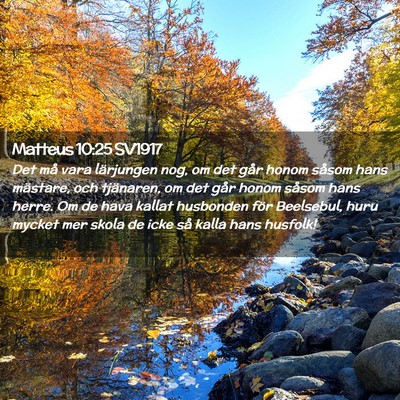 Picture 02 - Matteus 10:25 SV1917 - Det må vara lärjungen nog, om det går honom - Bible Verse Picture