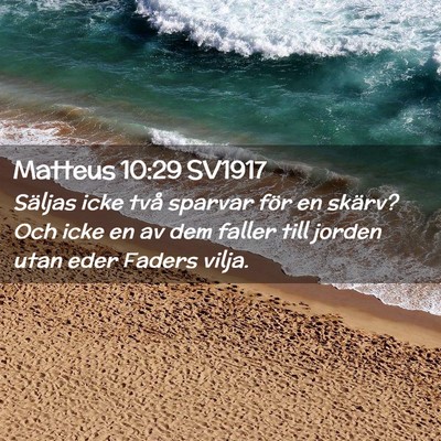Picture 02 - Matteus 10:29 SV1917 - Säljas icke två sparvar för en skärv? Och - Bible Verse Picture