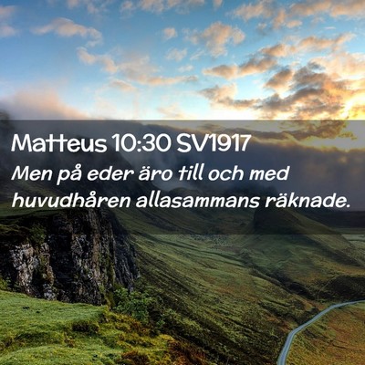 Picture 02 - Matteus 10:30 SV1917 - Men på eder äro till och med huvudhåren - Bible Verse Picture