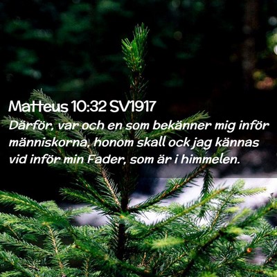 Picture 02 - Matteus 10:32 SV1917 - Därför, var och en som bekänner mig inför - Bible Verse Picture