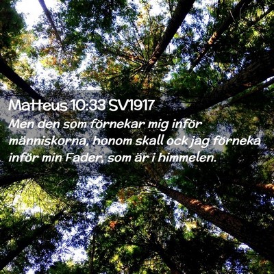 Picture 02 - Matteus 10:33 SV1917 - Men den som förnekar mig inför människorna, - Bible Verse Picture