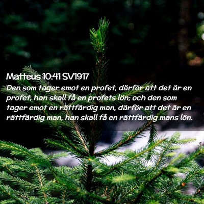 Picture 02 - Matteus 10:41 SV1917 - Den som tager emot en profet, därför att det - Bible Verse Picture