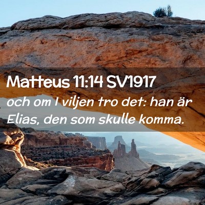 Picture 02 - Matteus 11:14 SV1917 - och om I viljen tro det: han är Elias, den som - Bible Verse Picture