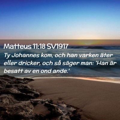 Picture 02 - Matteus 11:18 SV1917 - Ty Johannes kom, och han varken äter eller - Bible Verse Picture