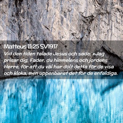 Picture 02 - Matteus 11:25 SV1917 - Vid den tiden talade Jesus och sade: »Jag prisar - Bible Verse Picture
