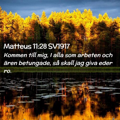 Picture 02 - Matteus 11:28 SV1917 - Kommen till mig, I alla som arbeten och ären - Bible Verse Picture