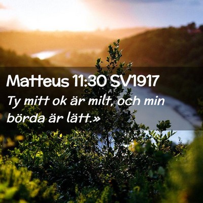 Picture 02 - Matteus 11:30 SV1917 - Ty mitt ok är milt, och min börda är - Bible Verse Picture
