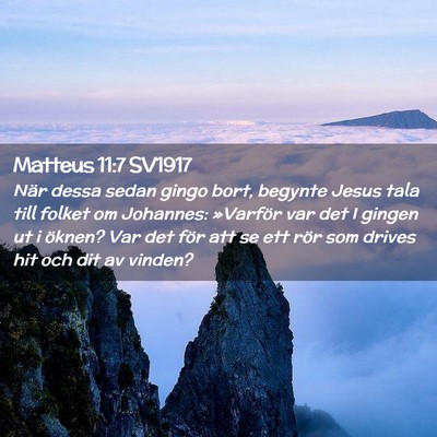 Picture 02 - Matteus 11:7 SV1917 - När dessa sedan gingo bort, begynte Jesus tala - Bible Verse Picture