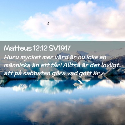 Picture 02 - Matteus 12:12 SV1917 - Huru mycket mer värd är nu icke en människa - Bible Verse Picture