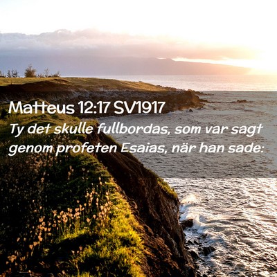 Picture 02 - Matteus 12:17 SV1917 - Ty det skulle fullbordas, som var sagt genom - Bible Verse Picture