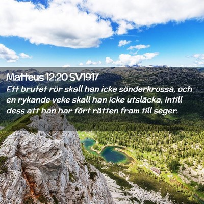 Picture 02 - Matteus 12:20 SV1917 - Ett brutet rör skall han icke sönderkrossa, och - Bible Verse Picture