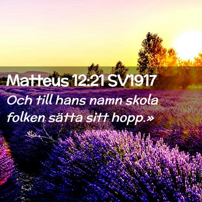 Picture 02 - Matteus 12:21 SV1917 - Och till hans namn skola folken sätta sitt - Bible Verse Picture