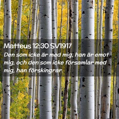Picture 02 - Matteus 12:30 SV1917 - Den som icke är med mig, han är emot mig, och - Bible Verse Picture