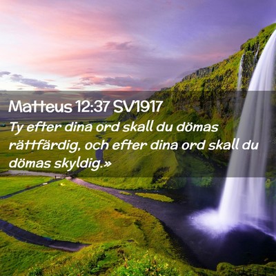 Picture 02 - Matteus 12:37 SV1917 - Ty efter dina ord skall du dömas rättfärdig, - Bible Verse Picture