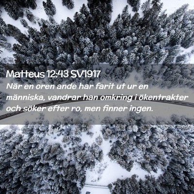 Picture 02 - Matteus 12:43 SV1917 - När en oren ande har farit ut ur en människa, - Bible Verse Picture