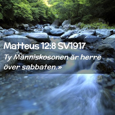 Picture 02 - Matteus 12:8 SV1917 - Ty Människosonen är herre över - Bible Verse Picture