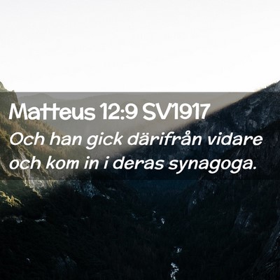 Picture 02 - Matteus 12:9 SV1917 - Och han gick därifrån vidare och kom in i deras - Bible Verse Picture
