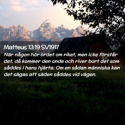 Picture 02 - Matteus 13:19 SV1917 - När någon hör ordet om riket, men icke - Bible Verse Picture