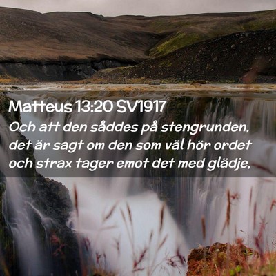 Picture 02 - Matteus 13:20 SV1917 - Och att den såddes på stengrunden, det är sagt - Bible Verse Picture