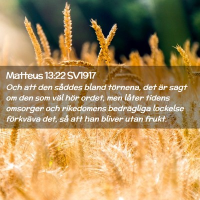Picture 02 - Matteus 13:22 SV1917 - Och att den såddes bland törnena, det är sagt - Bible Verse Picture