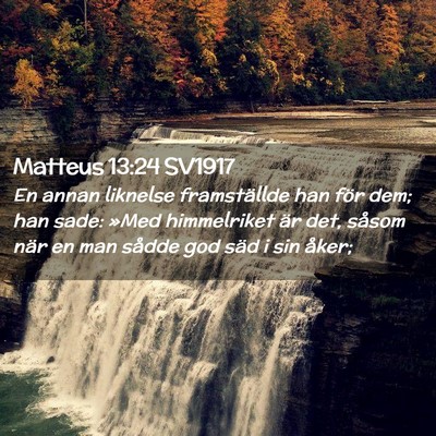 Picture 02 - Matteus 13:24 SV1917 - En annan liknelse framställde han för dem; han - Bible Verse Picture