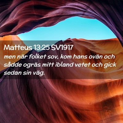 Picture 02 - Matteus 13:25 SV1917 - men när folket sov, kom hans ovän och sådde - Bible Verse Picture