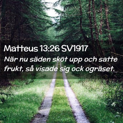 Picture 02 - Matteus 13:26 SV1917 - När nu säden sköt upp och satte frukt, så - Bible Verse Picture