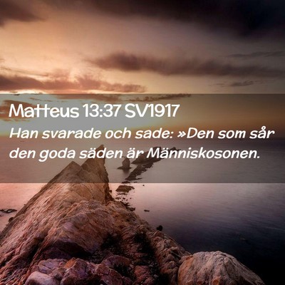 Picture 02 - Matteus 13:37 SV1917 - Han svarade och sade: »Den som sår den goda - Bible Verse Picture