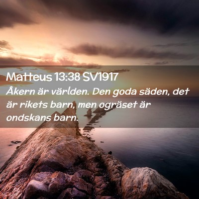 Picture 02 - Matteus 13:38 SV1917 - Åkern är världen. Den goda säden, det är - Bible Verse Picture