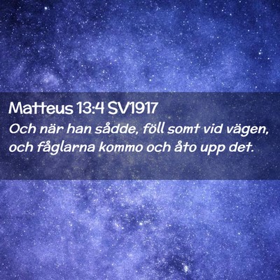 Picture 02 - Matteus 13:4 SV1917 - Och när han sådde, föll somt vid vägen, och - Bible Verse Picture