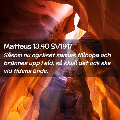 Picture 02 - Matteus 13:40 SV1917 - Såsom nu ogräset samlas tillhopa och brännes - Bible Verse Picture