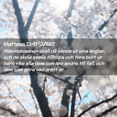 Picture 02 - Matteus 13:41 SV1917 - Människosonen skall då sända ut sina änglar, - Bible Verse Picture