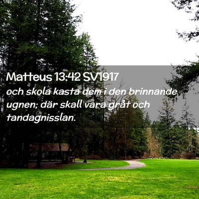Picture 02 - Matteus 13:42 SV1917 - och skola kasta dem i den brinnande ugnen; där - Bible Verse Picture