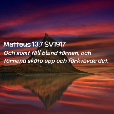 Picture 02 - Matteus 13:7 SV1917 - Och somt föll bland törnen, och törnena sköto - Bible Verse Picture