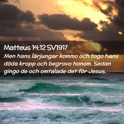 Picture 02 - Matteus 14:12 SV1917 - Men hans lärjungar kommo och togo hans döda - Bible Verse Picture
