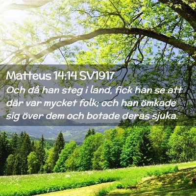 Picture 02 - Matteus 14:14 SV1917 - Och då han steg i land, fick han se att där var - Bible Verse Picture