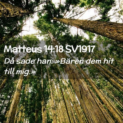 Picture 02 - Matteus 14:18 SV1917 - Då sade han: »Bären dem hit till - Bible Verse Picture