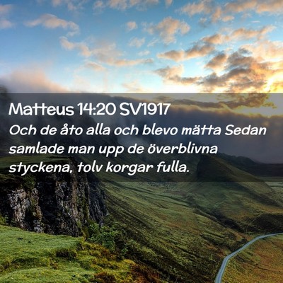Picture 02 - Matteus 14:20 SV1917 - Och de åto alla och blevo mätta Sedan samlade - Bible Verse Picture