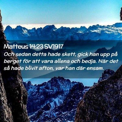 Picture 02 - Matteus 14:23 SV1917 - Och sedan detta hade skett, gick han upp på - Bible Verse Picture