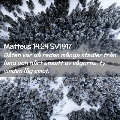 Picture 02 - Matteus 14:24 SV1917 - Båten var då redan många stadier från land - Bible Verse Picture