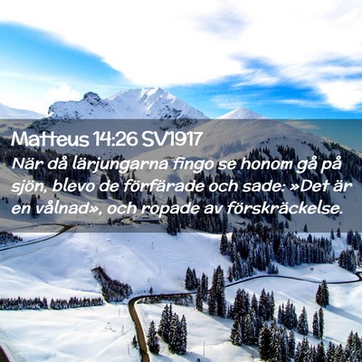 Picture 02 - Matteus 14:26 SV1917 - När då lärjungarna fingo se honom gå på - Bible Verse Picture