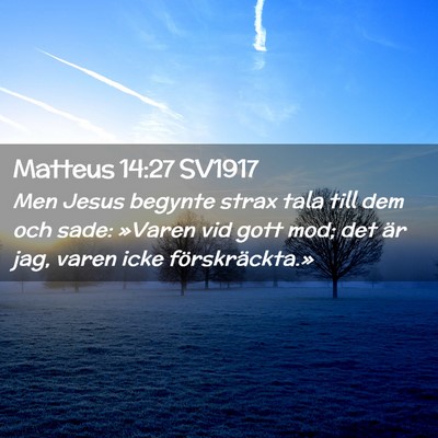 Picture 02 - Matteus 14:27 SV1917 - Men Jesus begynte strax tala till dem och sade: - Bible Verse Picture