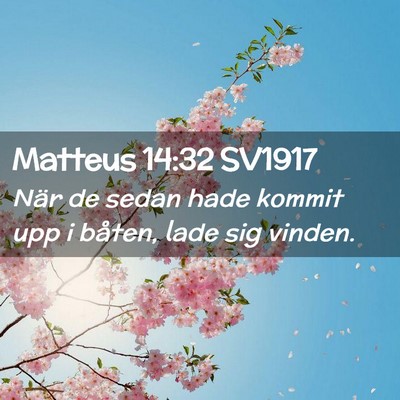 Picture 02 - Matteus 14:32 SV1917 - När de sedan hade kommit upp i båten, lade sig - Bible Verse Picture