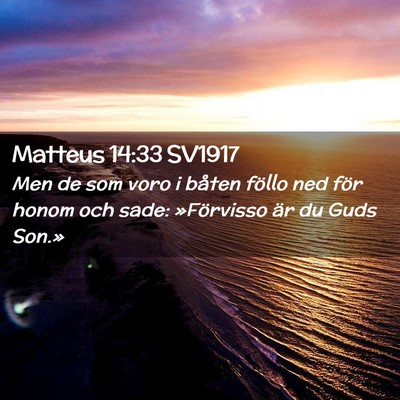 Picture 02 - Matteus 14:33 SV1917 - Men de som voro i båten föllo ned för honom - Bible Verse Picture