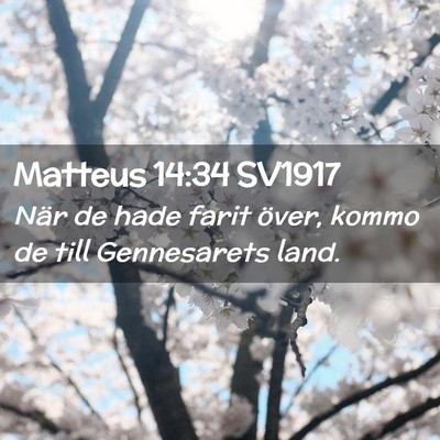 Picture 02 - Matteus 14:34 SV1917 - När de hade farit över, kommo de till - Bible Verse Picture