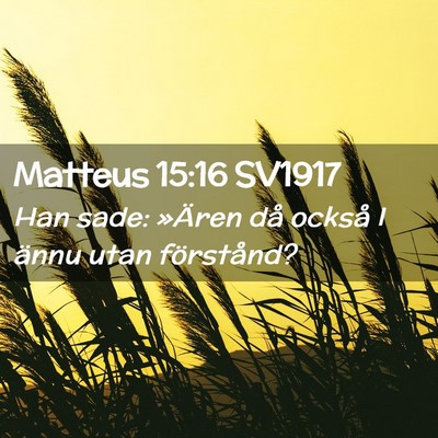 Picture 02 - Matteus 15:16 SV1917 - Han sade: »Ären då också I ännu utan - Bible Verse Picture